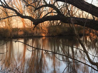 Oefening ongedeelde aandacht