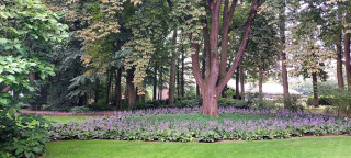 Retraite in het klooster bij de Zusters van Denekamp